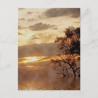 Sunset Glory Postcard