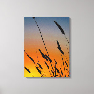 Sunset Grains Landscape Canvas Print