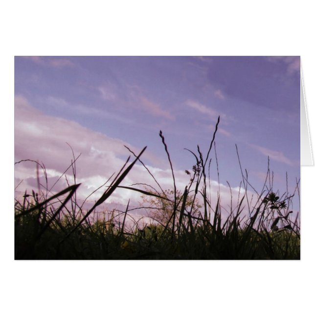 Sunset Grass Card (Front Horizontal)