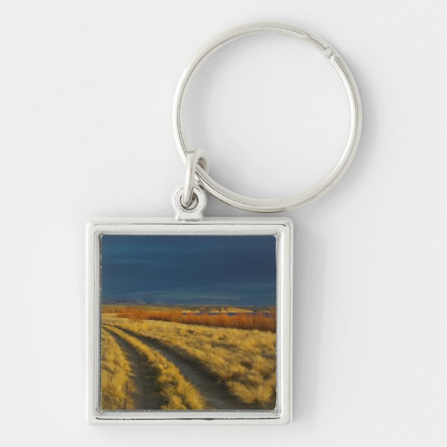 Sunset highlights the red bark of bushes key ring (Front)