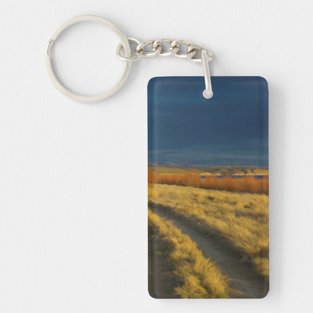 Sunset highlights the red bark of bushes key ring (Front)