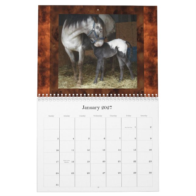 SUNSET HILL APPALOOSAS (REVISED) CALENDAR (Jan 2027)
