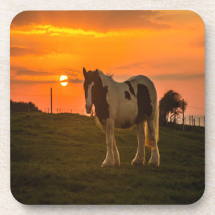 Sunset Horse Coaster