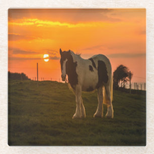 Sunset Horse Glass Coaster