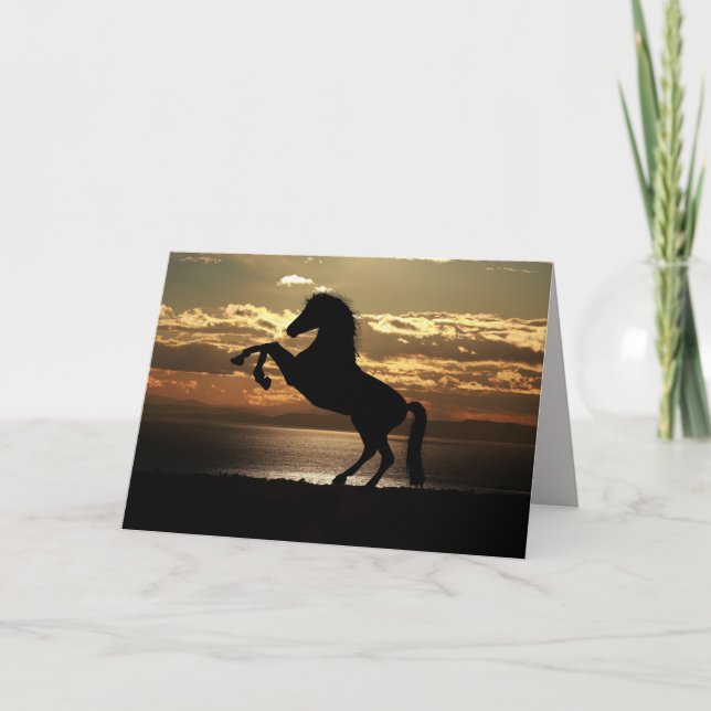 sunset horse greeting card (Front)