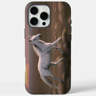 Sunset Horse iPhone / iPad case