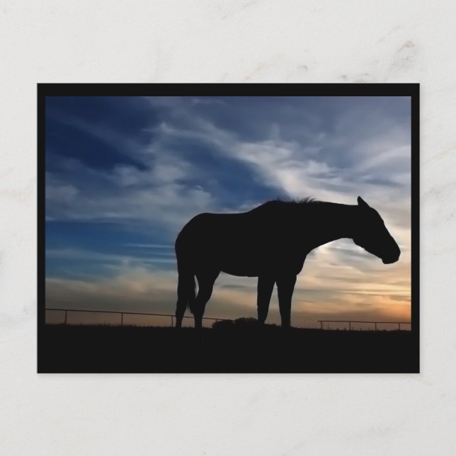 Sunset Horse postcard (Front)