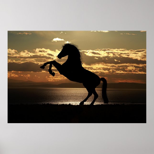 sunset horse poster (Front)