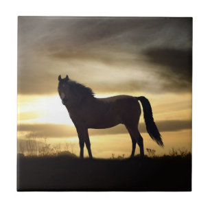 Sunset Horse SIlhouette Gift Tile
