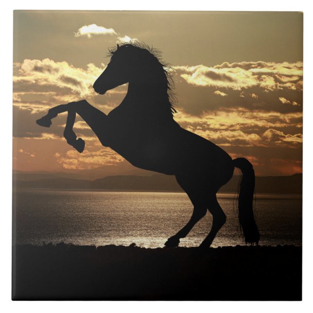 sunset horse tile (Front)