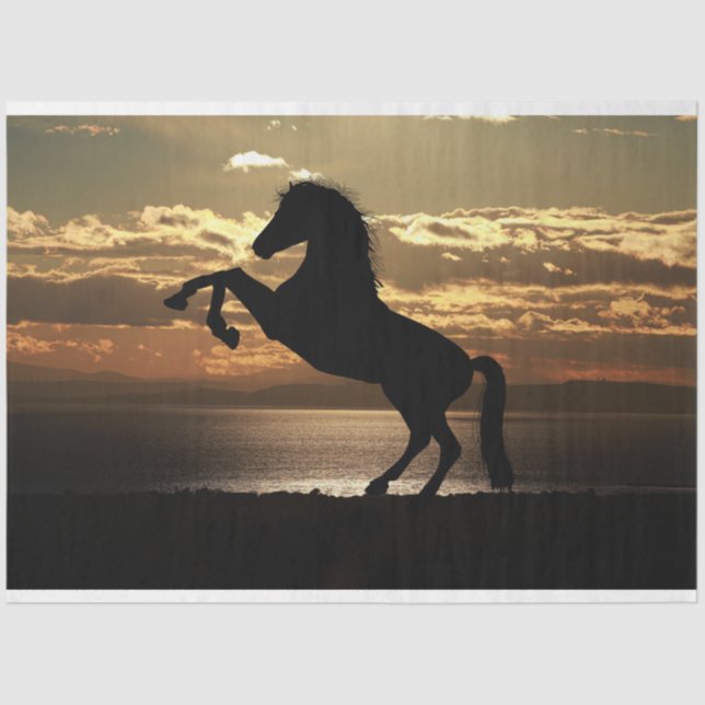 sunset horse tissue paper (Front)