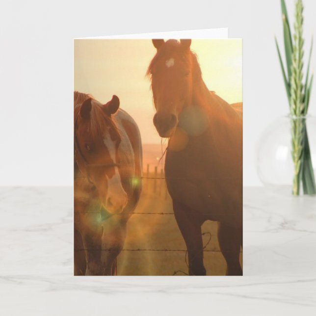 Sunset Horses  Greeting Card (Front)