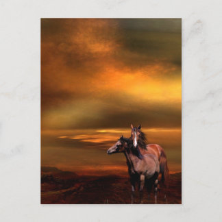 Sunset horses postcard