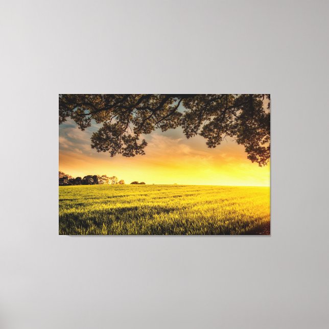 Sunset in a Rural Field Landscape Canvas Print (Front)