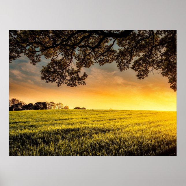 Sunset in a Rural Field Landscape Poster (Front)