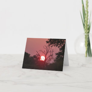 SUNSET IN BOTSWANA CARD