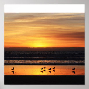 Sunset in California Poster