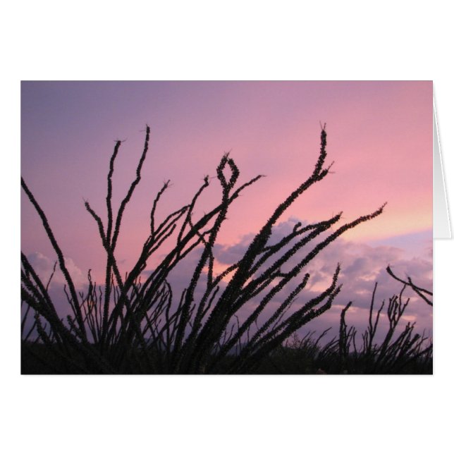 Sunset in lavenders (Front Horizontal)