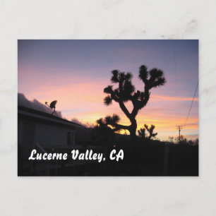 Sunset in Lucerne Valley Postcard
