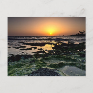 Sunset in Paphos, Cyprus (2512)  Postcard