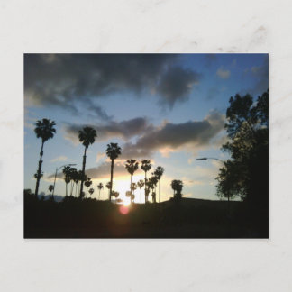 Sunset in San Jose Ca Postcard