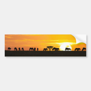 Sunset in Serengeti Bumper Sticker