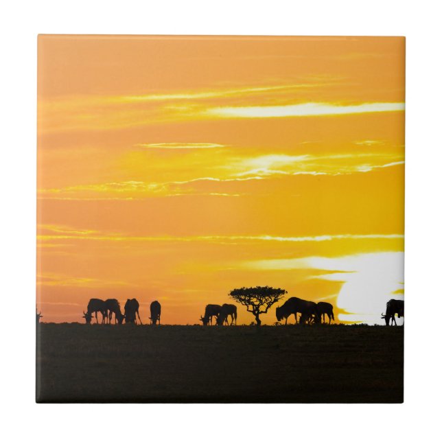 Sunset in Serengeti Tile (Front)