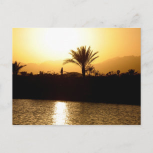 Sunset in Sharm el Sheikh, Egypt Postcard