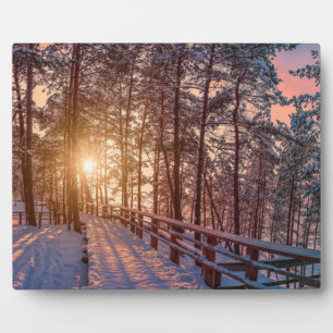 Sunset in snowy pine forest with sun ray plaque