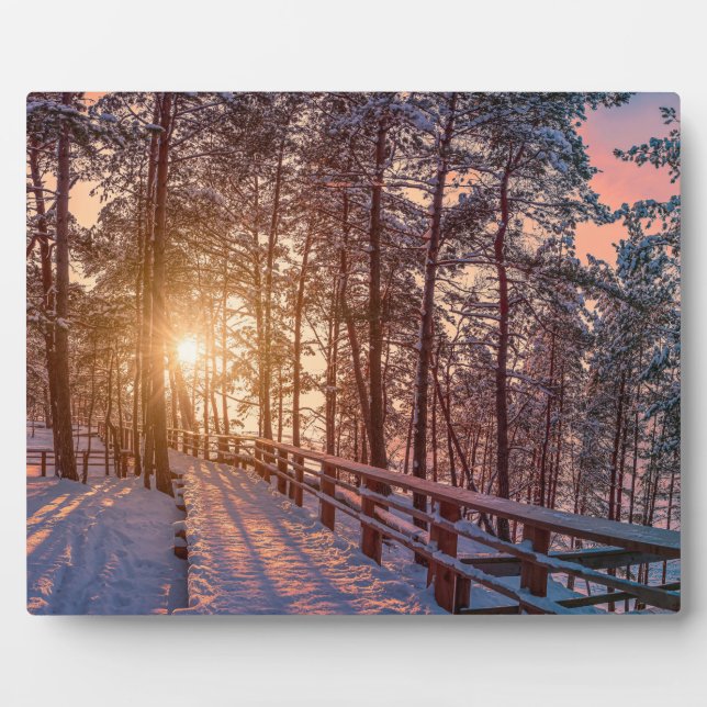 Sunset in snowy pine forest with sun ray plaque (Front)
