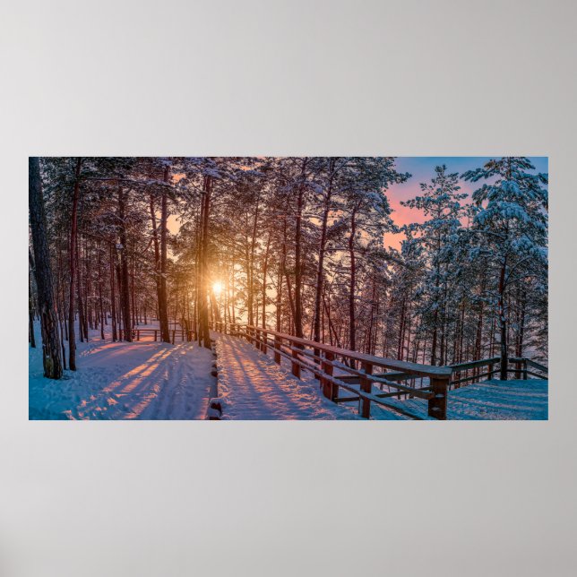 Sunset in snowy pine forest with sun ray poster (Front)