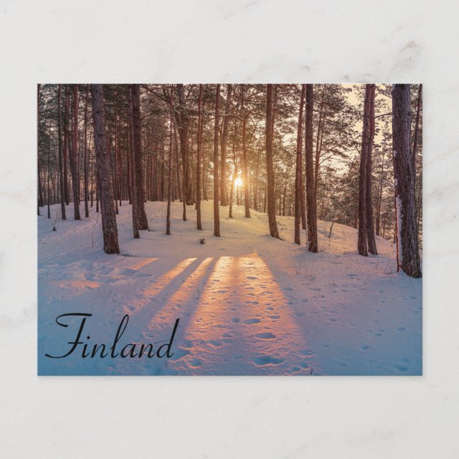 Sunset in snowy winter pine forest canvas print postcard (Front)