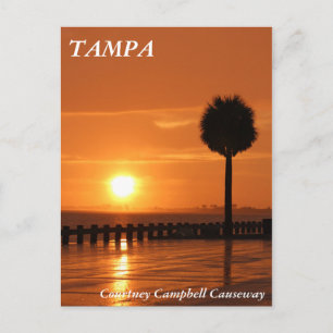 Sunset in Tampa Courtney Campbell Causeway Postcard