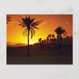 Sunset in the desert, The Sahara, Tunisia Desert Postcard