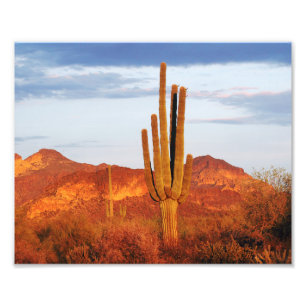 Sunset in the East Valley Photo Print