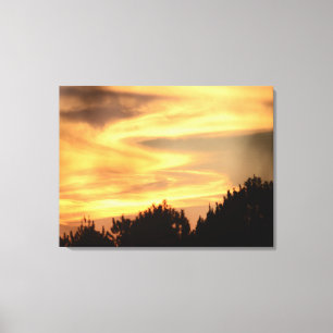 Sunset in the Forest Canvas Print