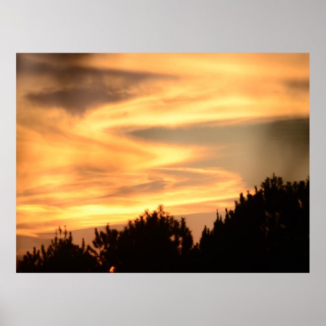 Sunset in the Forest Poster (Front)