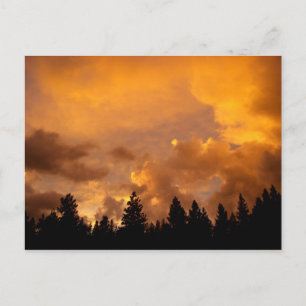 Sunset in the Sierras - Postcard