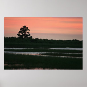 Sunset In The Wetlands Poster