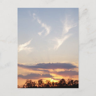 Sunset in Tomball, Texas Postcard