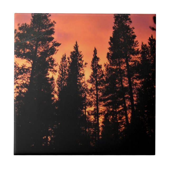 Sunset in Tuolumne Meadows, Yosemite, CA Tile (Front)