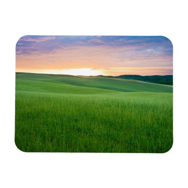 Sunset in Tuscany photo magnet (Horizontal)
