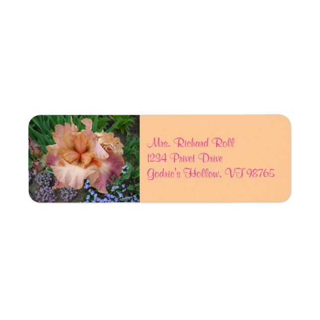 Sunset Iris Return Address Labels (Front)