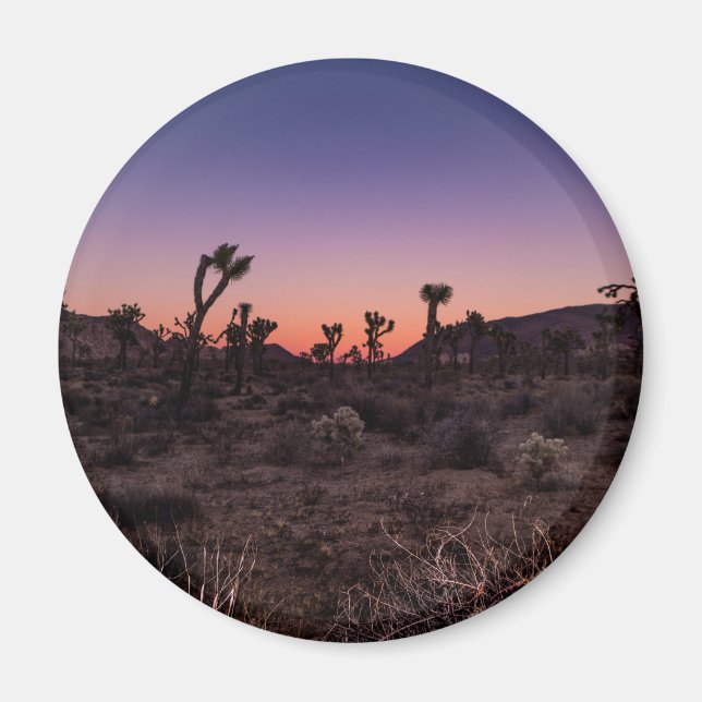 Sunset Joshua Tree National Park Magnet (Front)