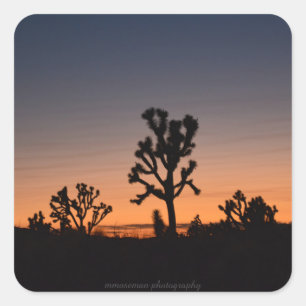 Sunset Joshua Trees Square Sticker