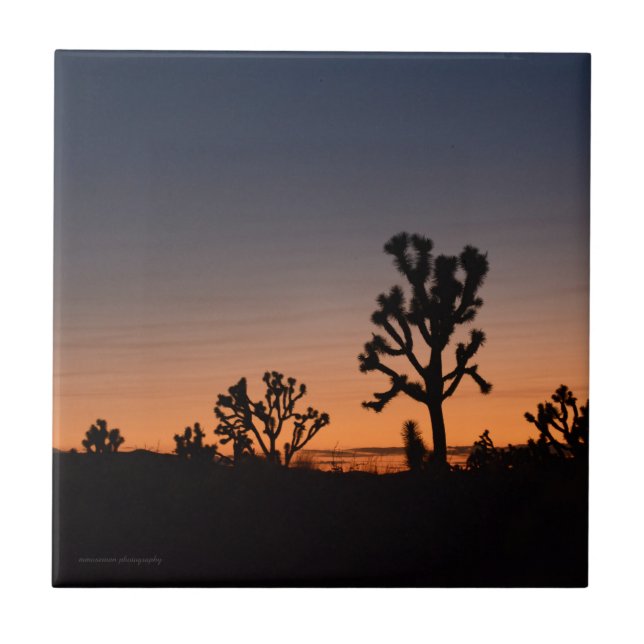 Sunset Joshua Trees Tile (Front)