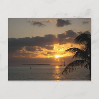 Sunset Key West, Florida Postcard