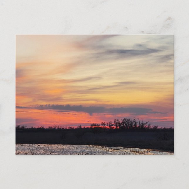 Sunset, Lake Erie, Ohio Postcard (Front)