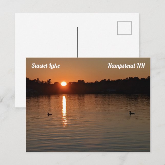 Sunset Lake Loons at Sunset Postcard (Front/Back)