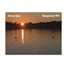Sunset Lake Loons at Sunset Postcard